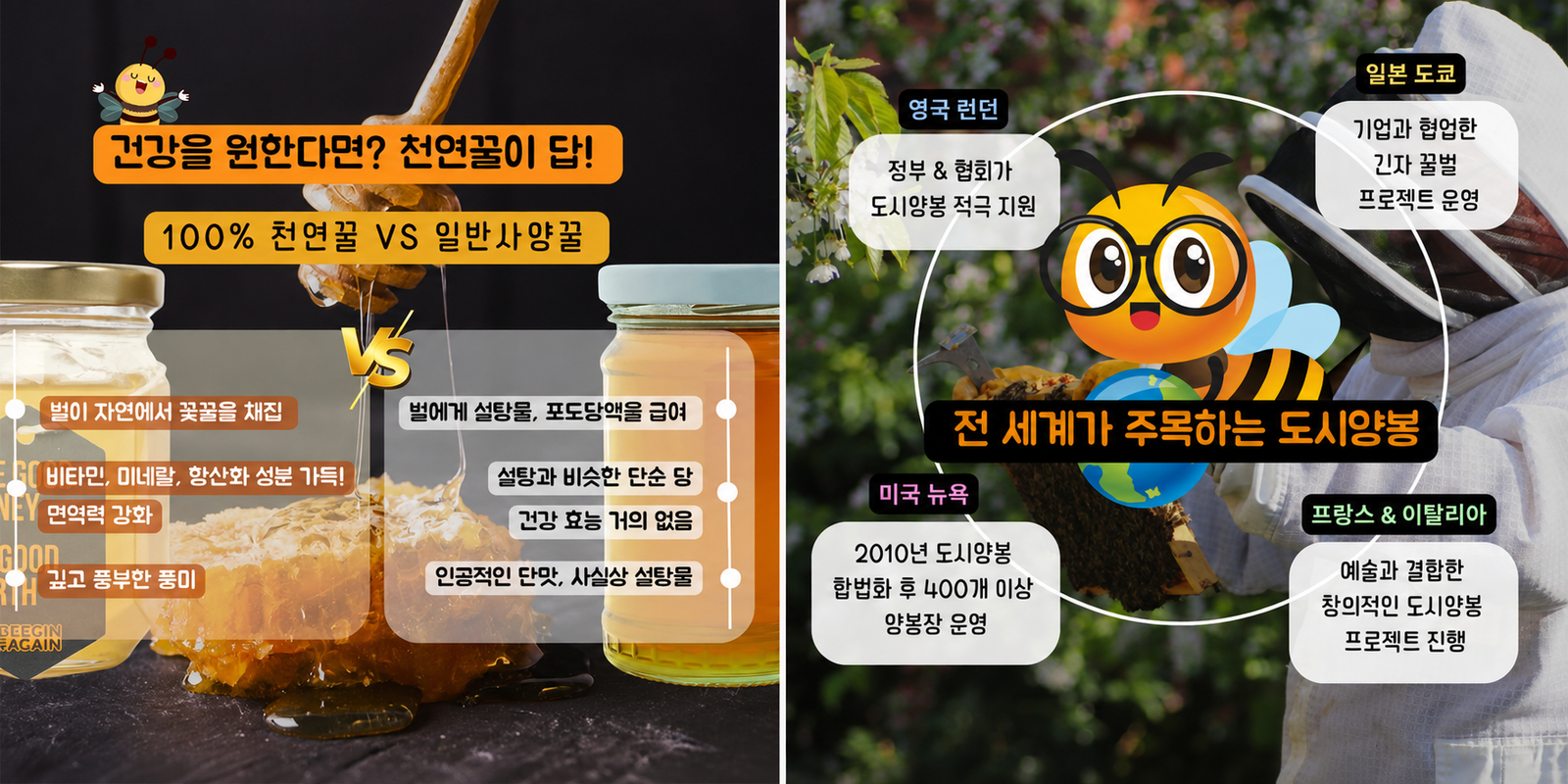 BEEGIN AGAIN natural honey and urban beekeeping editorial